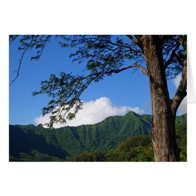 Manoa Valley (Vorderseite (Horizontal))