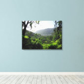 Manoa Valley, Hawaii Leinwanddruck (Insitu (Holzboden))