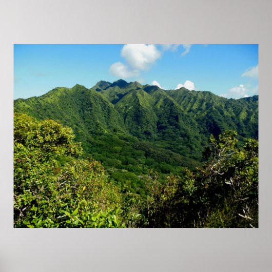 Manoa Valley Morning Poster (Vorne)