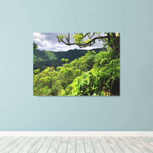 Manoa Valley, O'ahu, Hawai'i Leinwanddruck (Insitu (Holzboden))