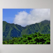 Manoa Valley Poster (Vorne)