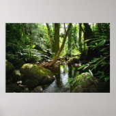 Manoa Valley Stream Poster (Vorne)