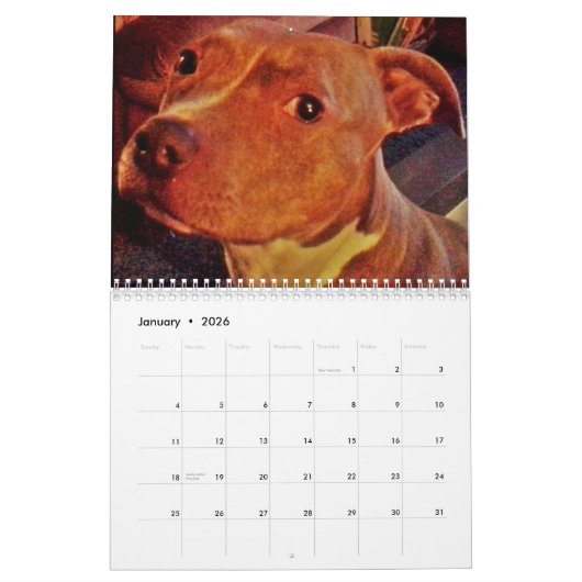 MANS BESTER FREUNDKALENDER KALENDER (Jan 2026)