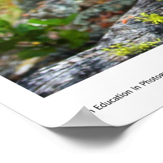 Mansanita Prints Poster (Ecke)