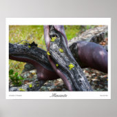 Mansanita Prints Poster (Vorne)