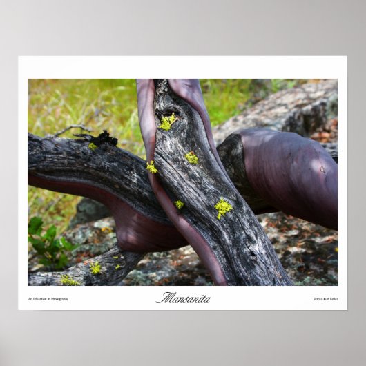 Mansanita Prints Poster (Vorne)