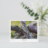 Mansanita Prints Postkarte (Stehend Vorderseite)