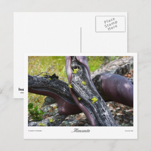 Mansanita Prints Postkarte (Vorne/Hinten)