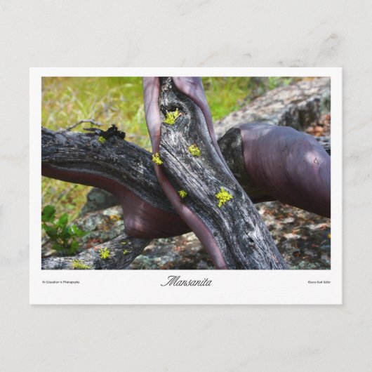 Mansanita Prints Postkarte (Vorderseite)