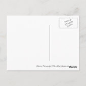 ManSchlachtung Postkarte (Rückseite)