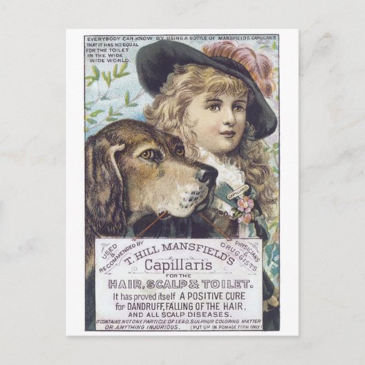 Mansfields Capallaris Postkarte (Vorderseite)