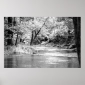 Mansker Creek Poster (Vorne)