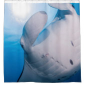 Manta-Manie: Niedlicher Mantastrahl im Duschvorhang (Vorderseite)