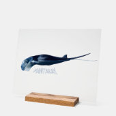 Manta Ray Acrylschild (Winkel)