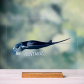 Manta Ray Acrylschild (Neutral)