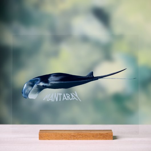 Manta Ray Acrylschild (Neutral)