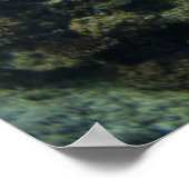 Manta Ray am Great Barrier Reef Poster (Ecke)