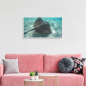 MANTA RAY AUF LEINWAND 20 "x 16" (Insitu (Wohnzimmer))