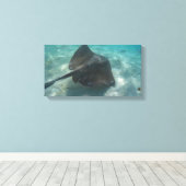 MANTA RAY AUF LEINWAND 20 "x 16" (Insitu (Holzboden))