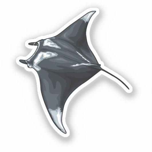 Manta ray aufkleber (Vorderseite)