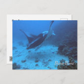 Manta Ray Encounter Diving in Bora Bora Postkarte (Vorne/Hinten)