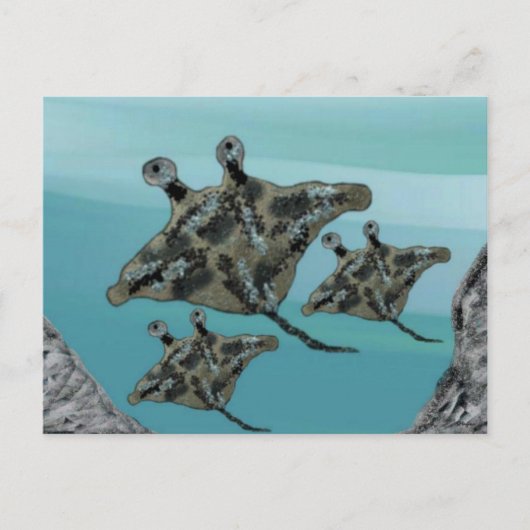 Manta Ray Family Postkarte (Vorderseite)