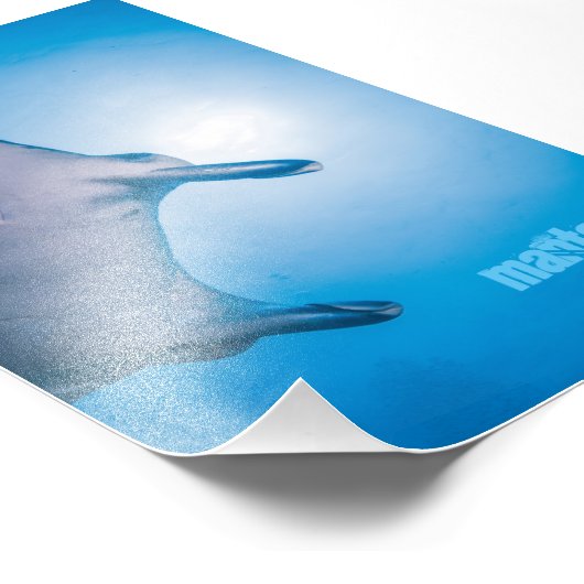 Manta ray fotodruck (Ecke)