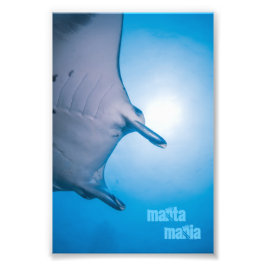 Manta ray fotodruck