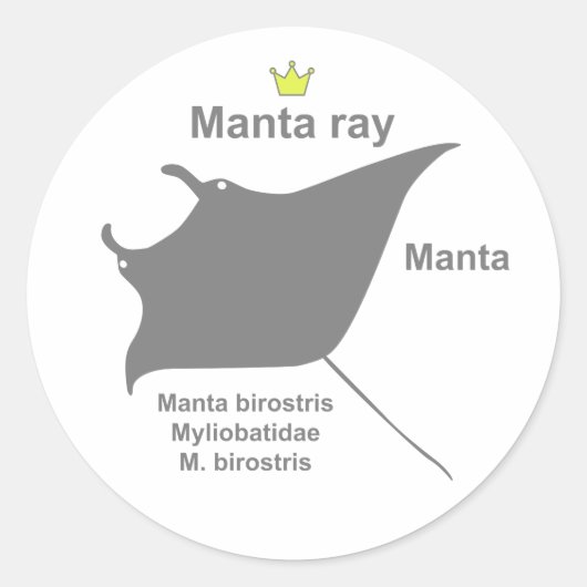 Manta ray g5 runder aufkleber (Vorderseite)