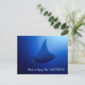 Manta Ray Postcard Postkarte (Stehend Vorderseite)