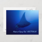 Manta Ray Postcard Postkarte (Vorne/Hinten)