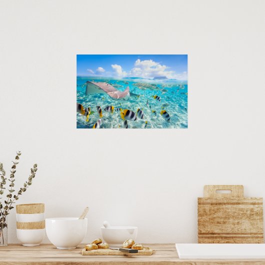 Manta Ray Poster (Küche)