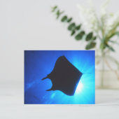 Manta Ray Silhouette Postkarte (Stehend Vorderseite)