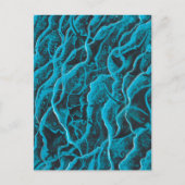 Manta Rays Ocean Fish Animals Waves Blue Black Art Postkarte (Vorderseite)