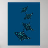 Manta Rays Poster (Vorne)