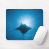 Manta schwimmen unter Wasser Mousepad (Mit Mouse)