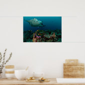 Mantarays over anemone - Poster (Küche)