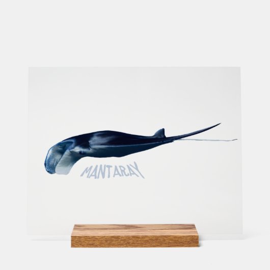 Mantarochen Acrylschild (Vorderseite)