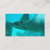 Mantarochen-Visitenkarte Visitenkarte (Rückseite)