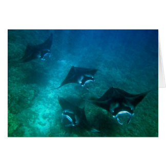 Mantarochenkarte