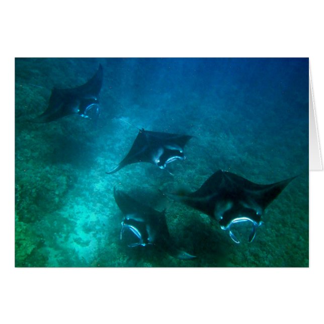 Mantarochenkarte (Vorderseite (Horizontal))