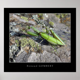 Mante Religion ieuse Poster