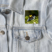 Mantella, Mantella expectata, 2 Button (Beispiel)