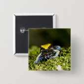 Mantella, Mantella expectata, 2 Button (Vorne & Hinten)