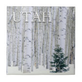 Manti-LaSal National Forest, Utah Fliese (Vorderseite)