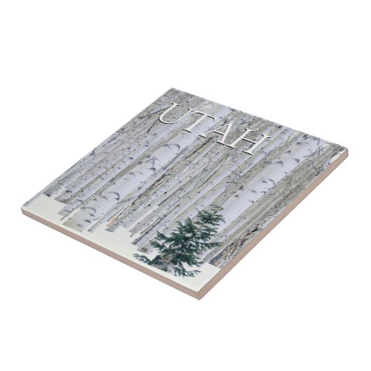 Manti-LaSal National Forest, Utah Fliese (Seite)