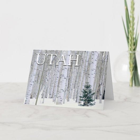 Manti-LaSal National Forest, Utah | Happy Birthday Karte (Vorderseite)