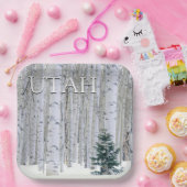 Manti-LaSal National Forest, Utah Pappteller (Party)