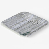 Manti-LaSal National Forest, Utah Pappteller (Gewinkelt)