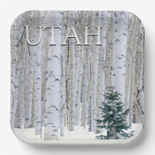 Manti-LaSal National Forest, Utah Pappteller